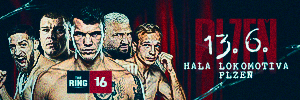 Patron boxing
