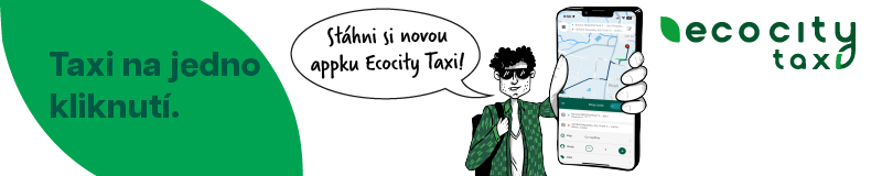 Ecocity taxi
