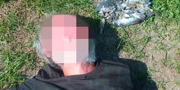 Místo polštáře měl pošlého holuba