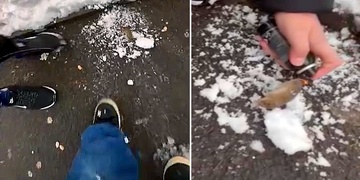 Děti brutálně umučily hlodavce, případem se už zabývá policie