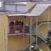 Pro nás je důležitý každý živý tvor