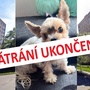 Aktualizujeme, Pupinka byla nalezena