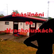 Rozlučka se svobodou skončila znásilněním