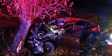 Čelní střet osobního vozu se stromem