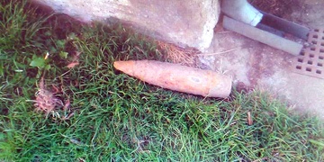 Při vyvážení rybníka našli dělostřelecký granát