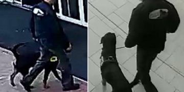 Pes vběhl do dětského koutku a pokousal chlapce