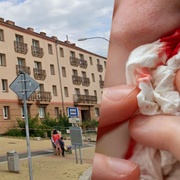 Viděli jste konflikt na Slovanské aleji v Plzni?