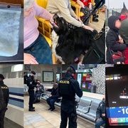 Drogy, pobyt cizinců v Plzni, zabavené řidičáky, hodně zubní pasty a Edík na závěr