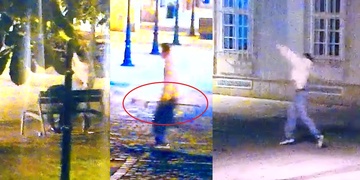 Mladík sebral spícímu invalidovi francouzskou hůl a zahodil mu ji do křoví