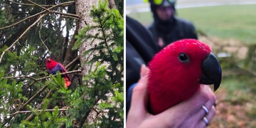 Když Rozárka trucuje, musí nastoupit hasiči