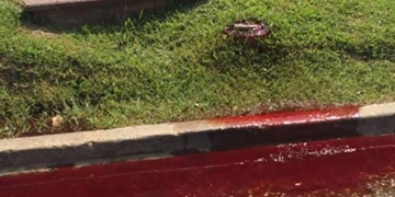 Nemrtvý silně krvácel nekrev