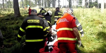 Muže při těžbě dřeva zavalil strom