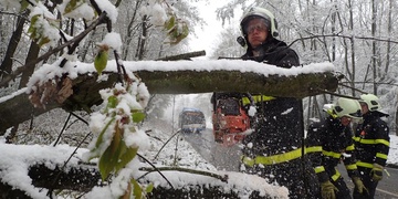 Kalamitu způsobují popadané stromy