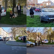 Řidička i s vozem skončila v parku ve stromě