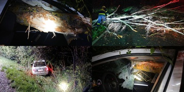 Kmen stromu proletěl skrz auto a řidič smrti unikl skutečně pouze o vlásek