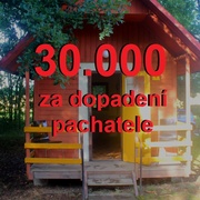 30.000 korun za dopadení útočníka z dětského tábora!