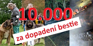 Deset tisíc korun za informaci vedoucí k dopadení žháře, který upálil pět kavkazských pasteveckých psů