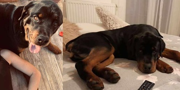 Neviděli jste Árčího?