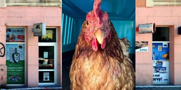 Nezdá se ti, že ta zákaznice byla hrozná slepice?