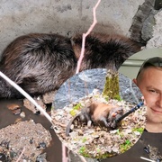 Záchranáři ZZS zachránili i dva bobry