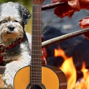 Nemáte v neděli nic v plánu? Tak pojďte do plzeňského útulku na muziku!