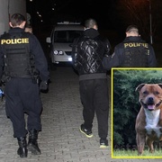 Za loupež psa putoval Kominík na vazbu!