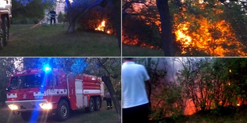 Požár v Borském parku