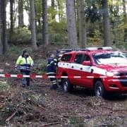 Žena přišla o život při kácení stromů