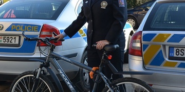 Kradli v Česku i Německu