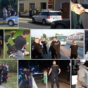 "Ach ti zlí, zlí revizoři," a nejčastější dotazy cestujících v PMDP