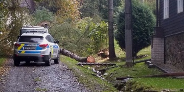 Padající strom zabil muže