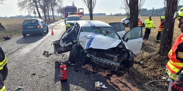 Mladý řidič nezvládl řízení a s vozem narazil do stromu