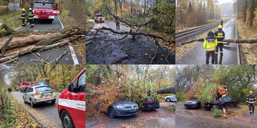 Silný vítr lámal a vyvracel stromy, škody jsou značné