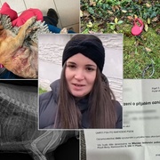 Čivavu Oskara usmrtili přímo před jeho majitelkou