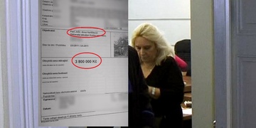 Právnička v Plzni okradla týraná zvířata o miliony