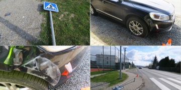 S pohledem upřeným na policisty srazila značku