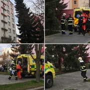 Pád dívenky z okna zavinila její matka