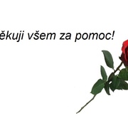 Malá Arianna je nalezena