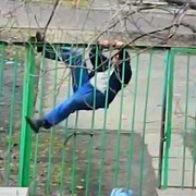 Zloděj blbec