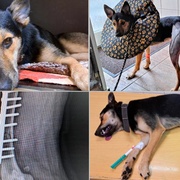 Jedna šíleně smutná princezna potřebuje pomoc