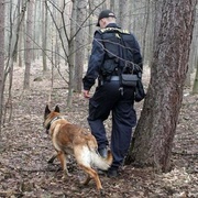 Vykradli zámek v Dolní Lukavici