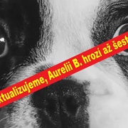 Aurelii B., která velmi brutálně usmrtila malého pejska, hrozí až šest let