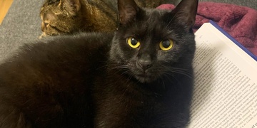 Hledá se Abinka, Mikuláškovi se po ní moc stýská!