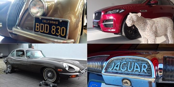 Autosalon Dajbych přiváží do Plzně Jaguáry