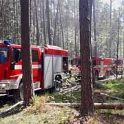 Lesní požár u Hracholusk