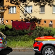 Muž vyskočil z okna a na místě zemřel