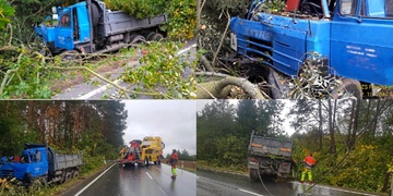 Tatra při havárii přerážela stromy