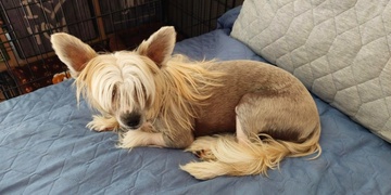 Pomozme prosím najít Báru