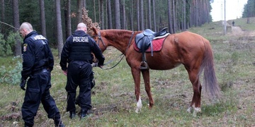 Ženu kopl kůň do hrudníku