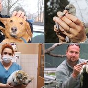 Jak zvířecímu kamarádovi usnadnit přežití Silvestra?